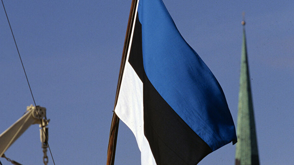 Estonya’da 'Rusya'ya bağlanalım' krizi