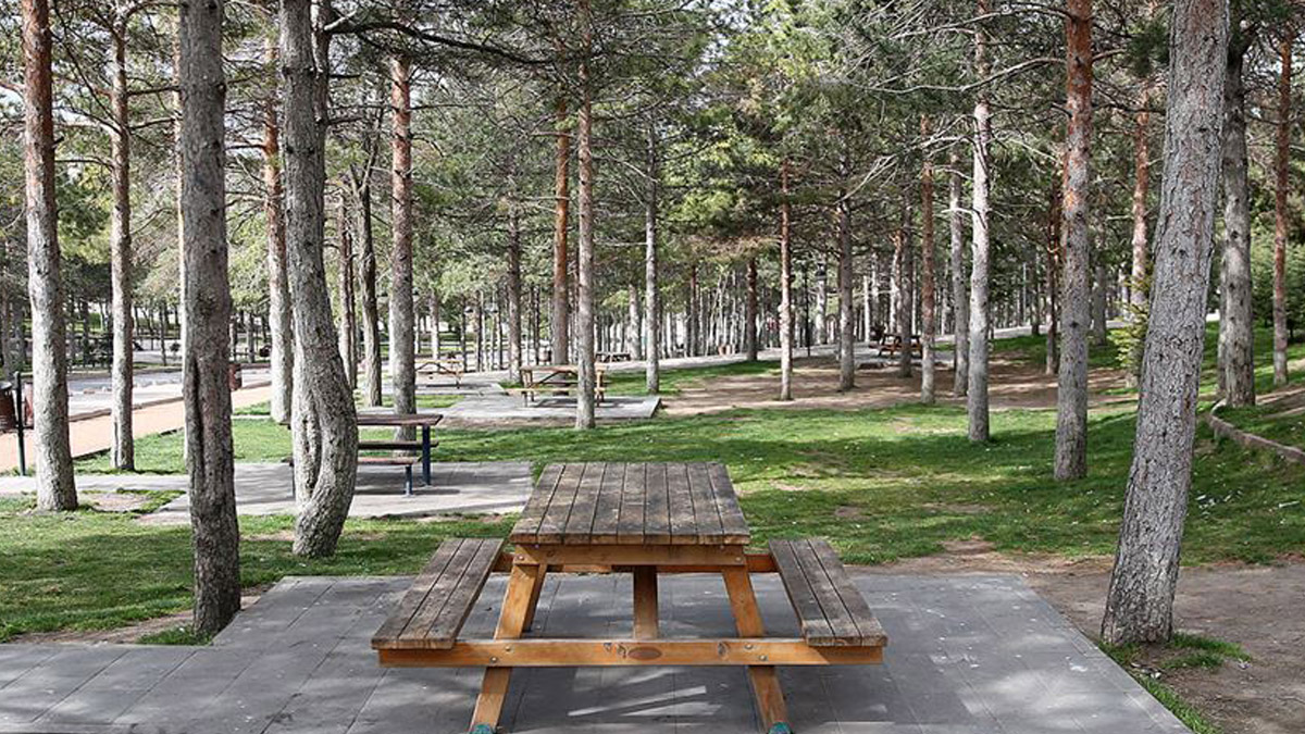 Kanlıca'daki mesire yeri 20 yıllığına kiraya verilecek