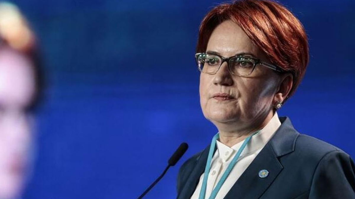 Akşener'den mahkemenin Özdağ kararına ilk yorum: Çok ilginç geldi bize