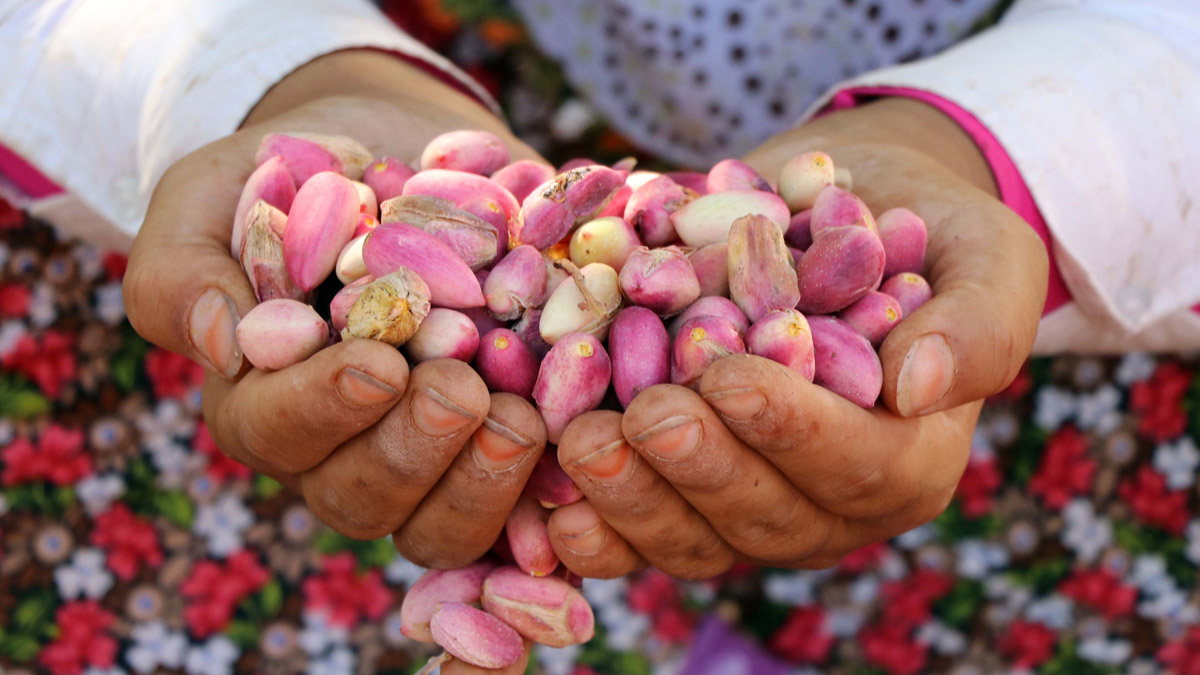 Kuraklık onu da etkiledi! 'Yeşil altın'ın fiyatı yüzde 200 artabilir