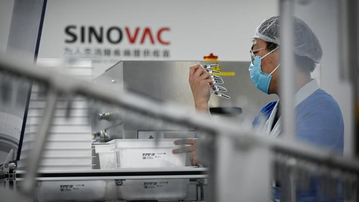 Sinovac'tan 'Türkiye'ye erişim engeli' açıklaması