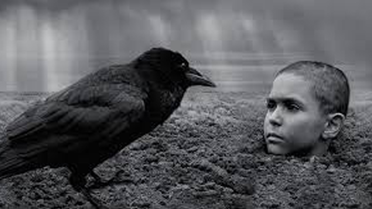 SİYAD 2020'nin en iyi yabancı filmini seçti