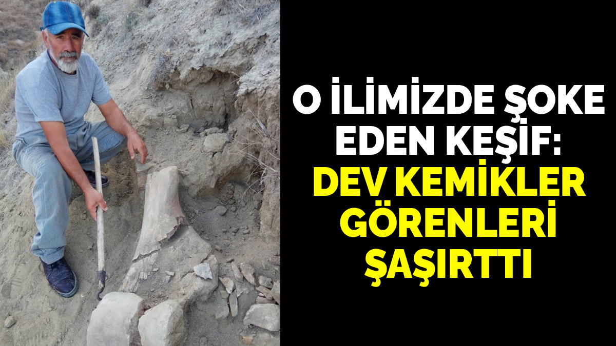 O ilimizde şoke eden keşif: Dev kemikler görenleri şaşırttı