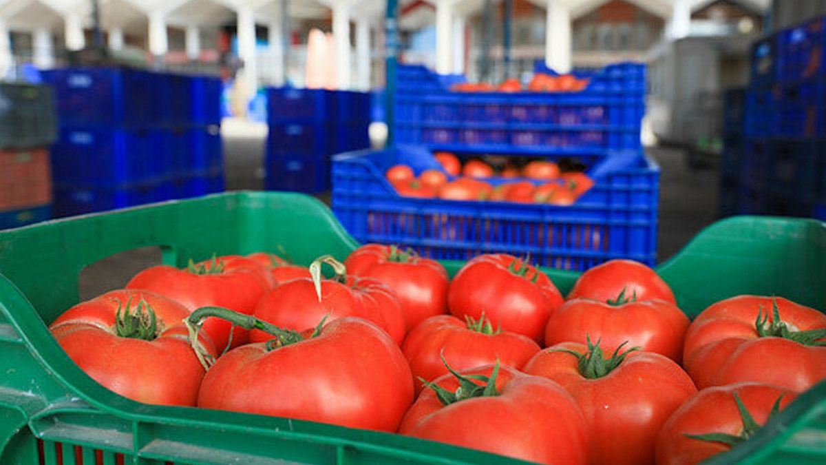 Bakan Pekcan: Rusya, domates kotasını 250 bin tona yükseltti