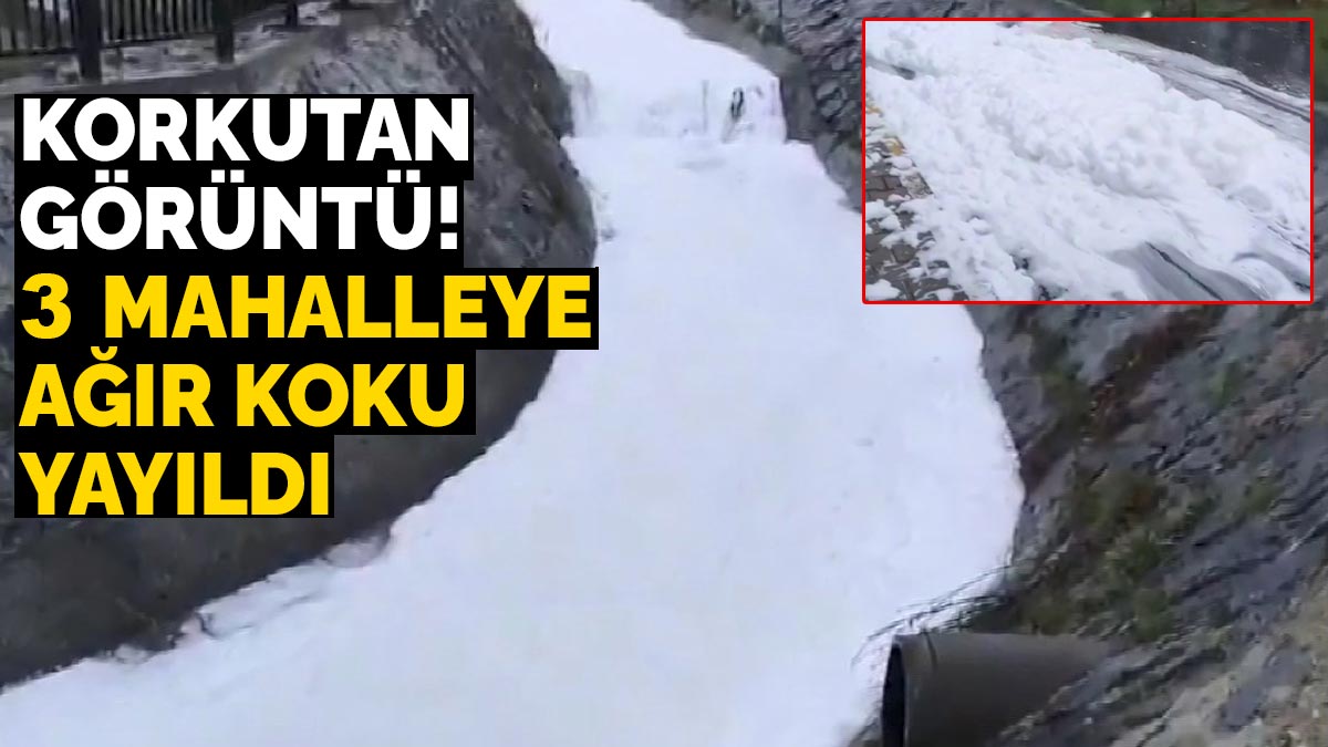 Korkutan görüntü: 3 mahalleye ağır koku yayıldı