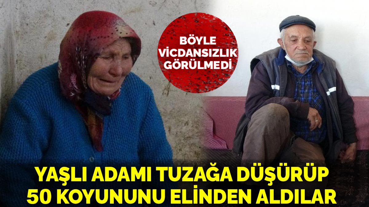 Böyle vicdansızlık görülmedi: Yaşlı adamı tuzağa düşürüp 50 koyununu aldılar