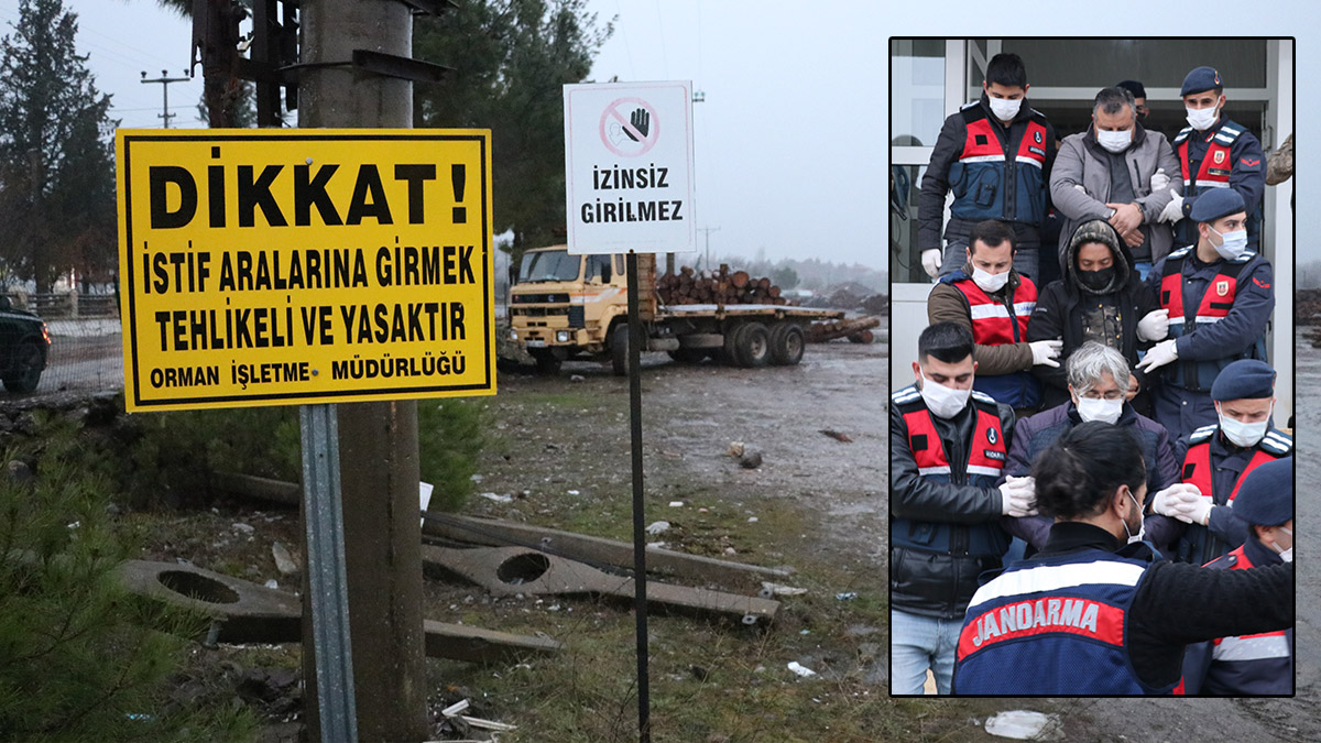 Kaçak ağaç keserek kayınpederine villa yaptı, kamuyu 10 milyon TL zarara uğrattı