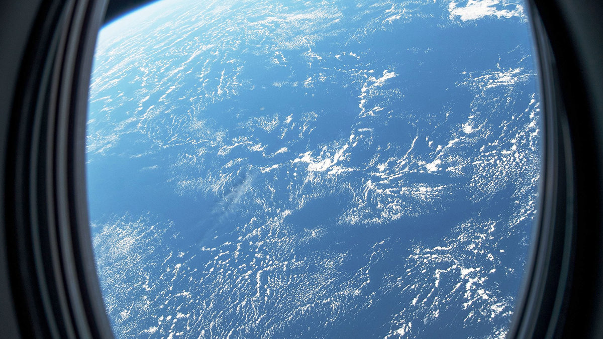 SpaceX uzaya ilk sivil uçuşunu yıl sonuna kadar gerçekleştirecek