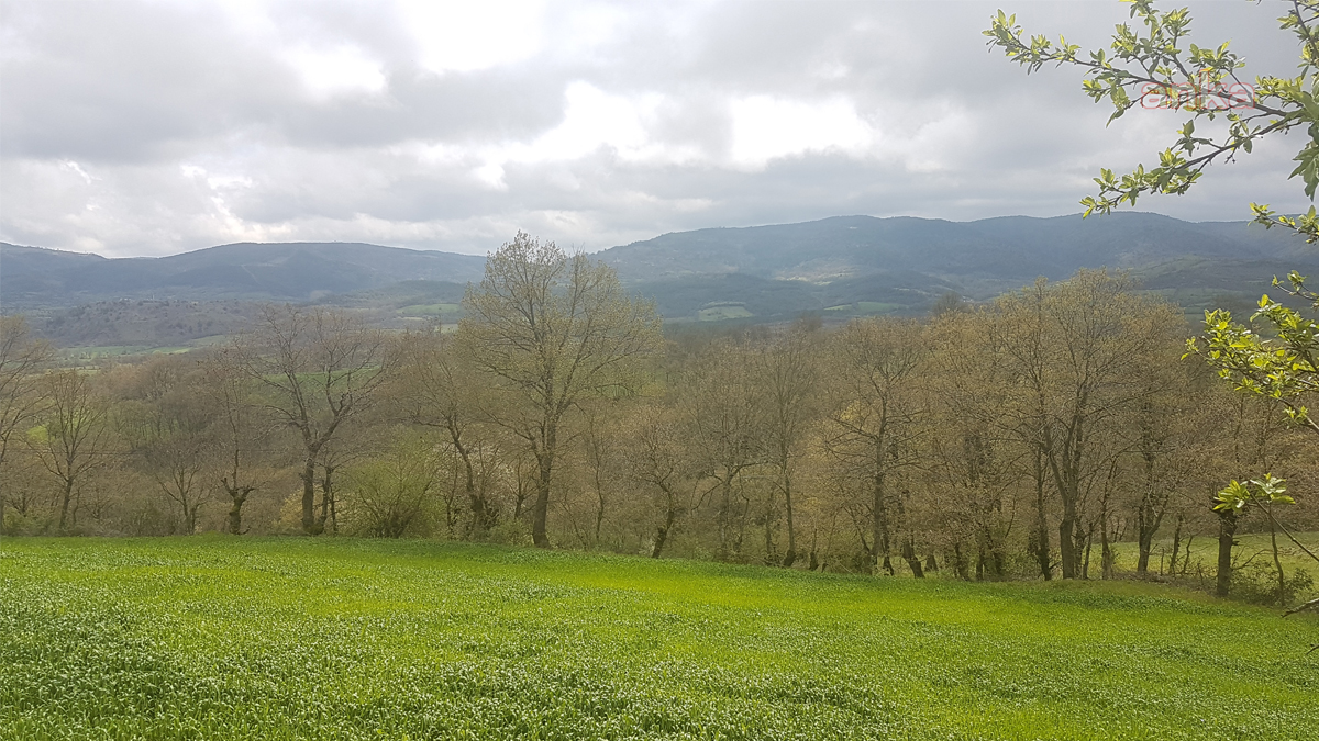 Danıştay'dan Çanakkalelileri sevindiren haber: Raporu iptal etti