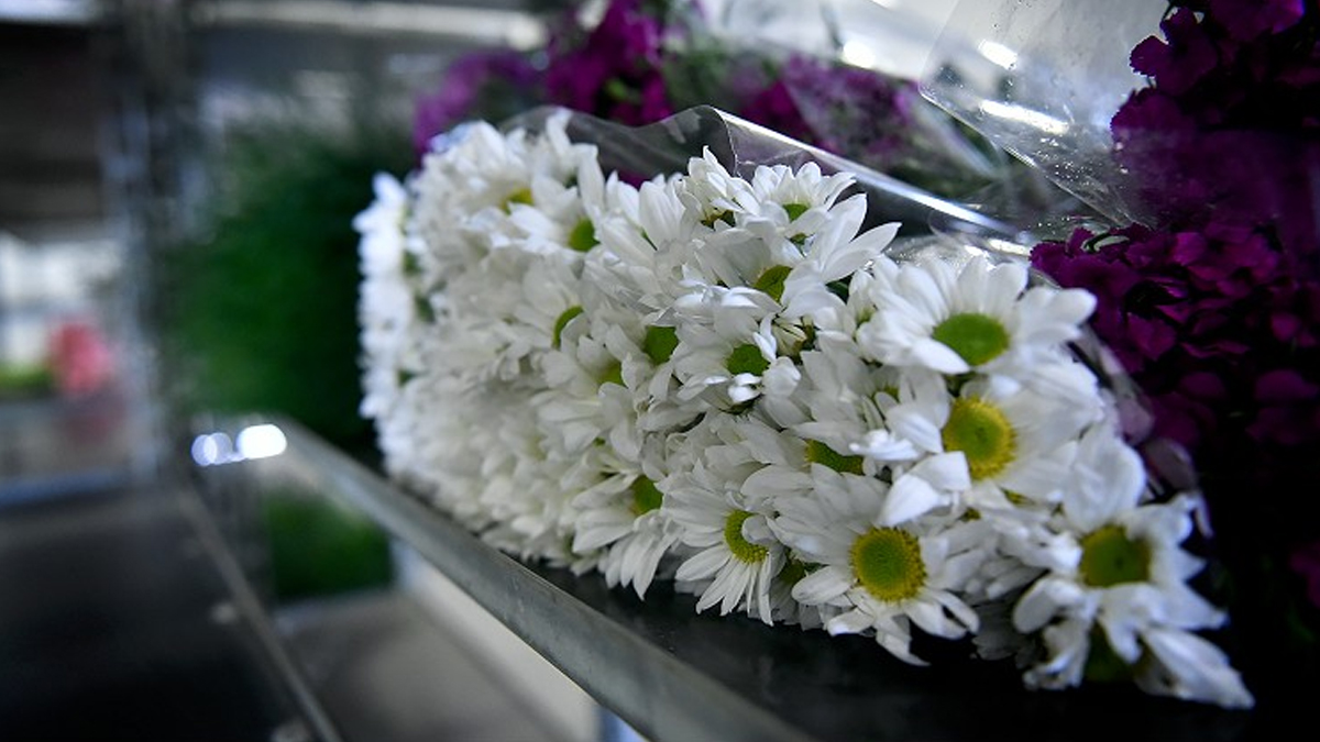 İçişleri'nden 'sevgililer günü' genelgesi: Çiçekçilerin çalışma saatleri düzenlendi