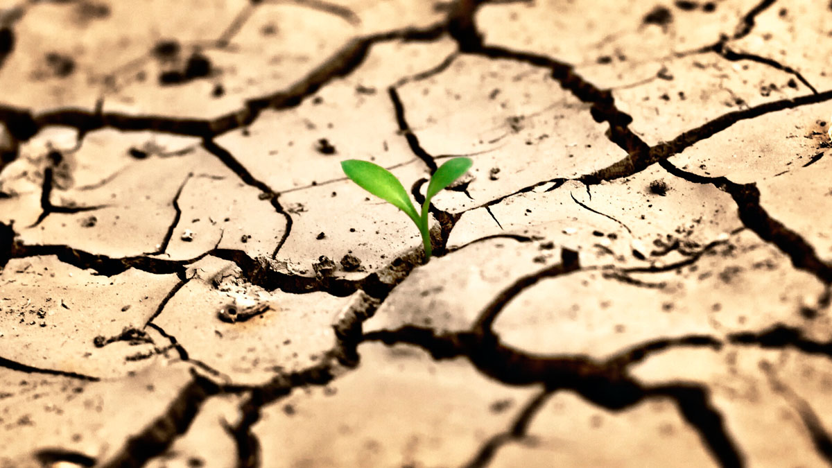 Büyük kentlere su yetmeyebilir