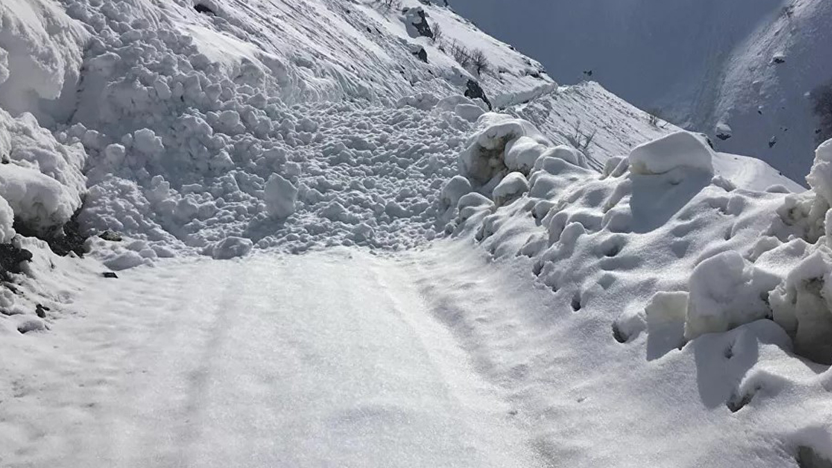 Hakkari'de çığ düştü