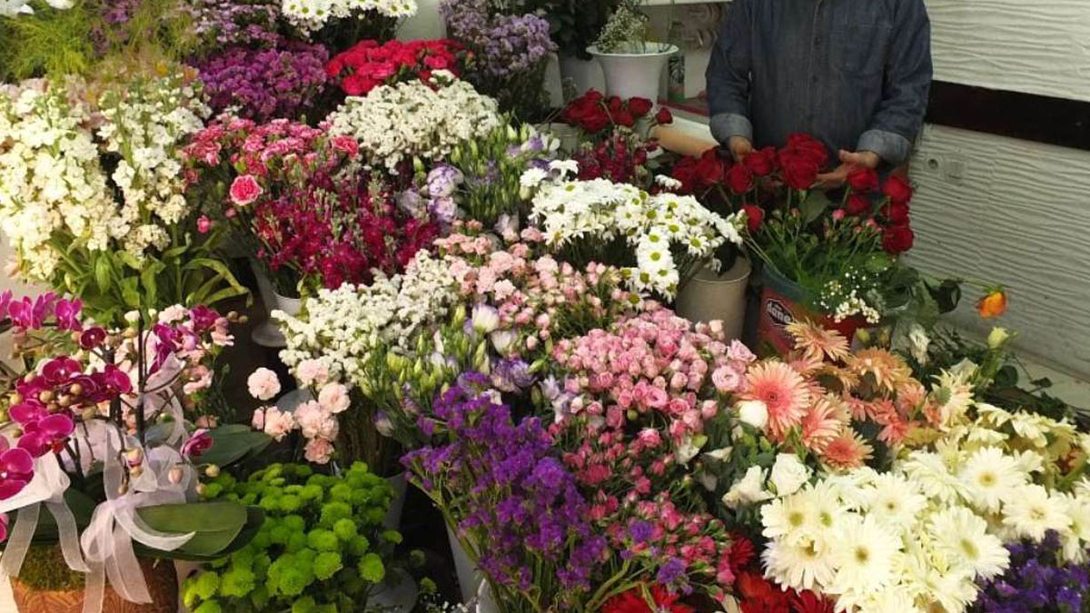 Ankara'daki çiçekçilere Sevgililer Günü muafiyeti