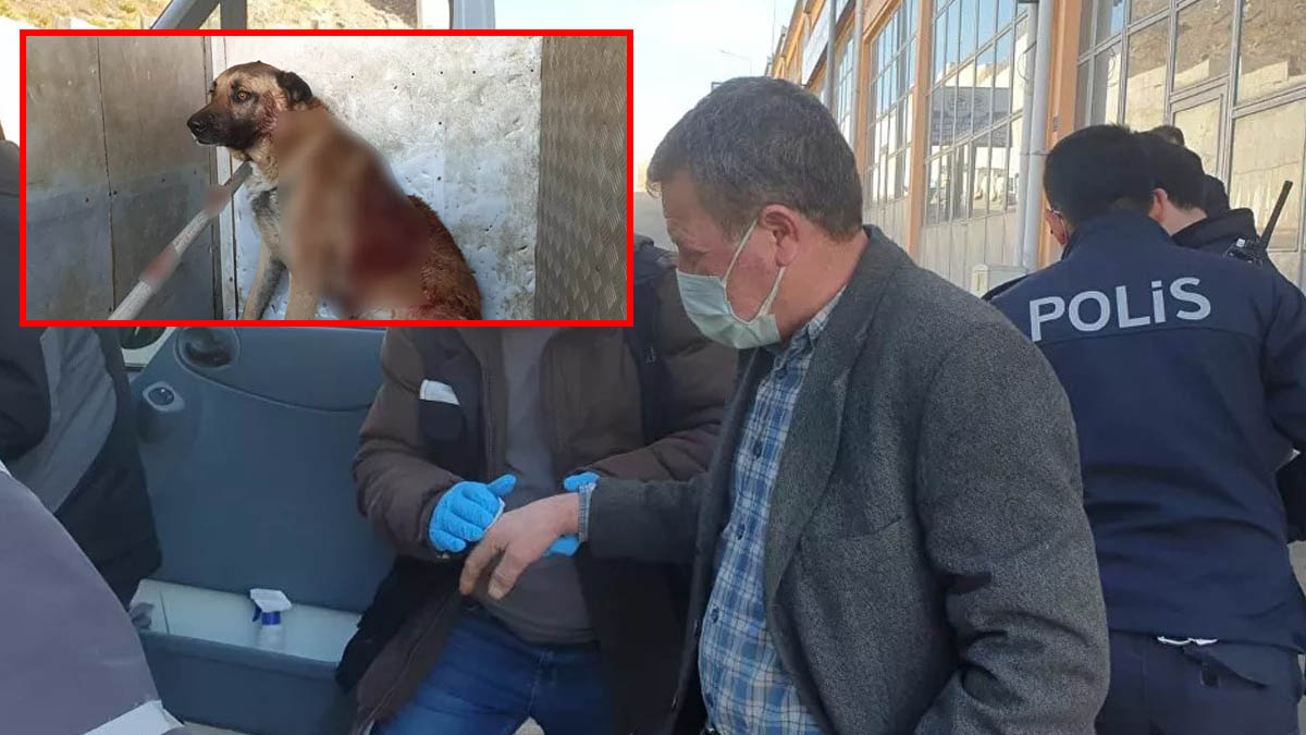 Tüfekle köpek yaralayan kişiden akılalmaz savunma