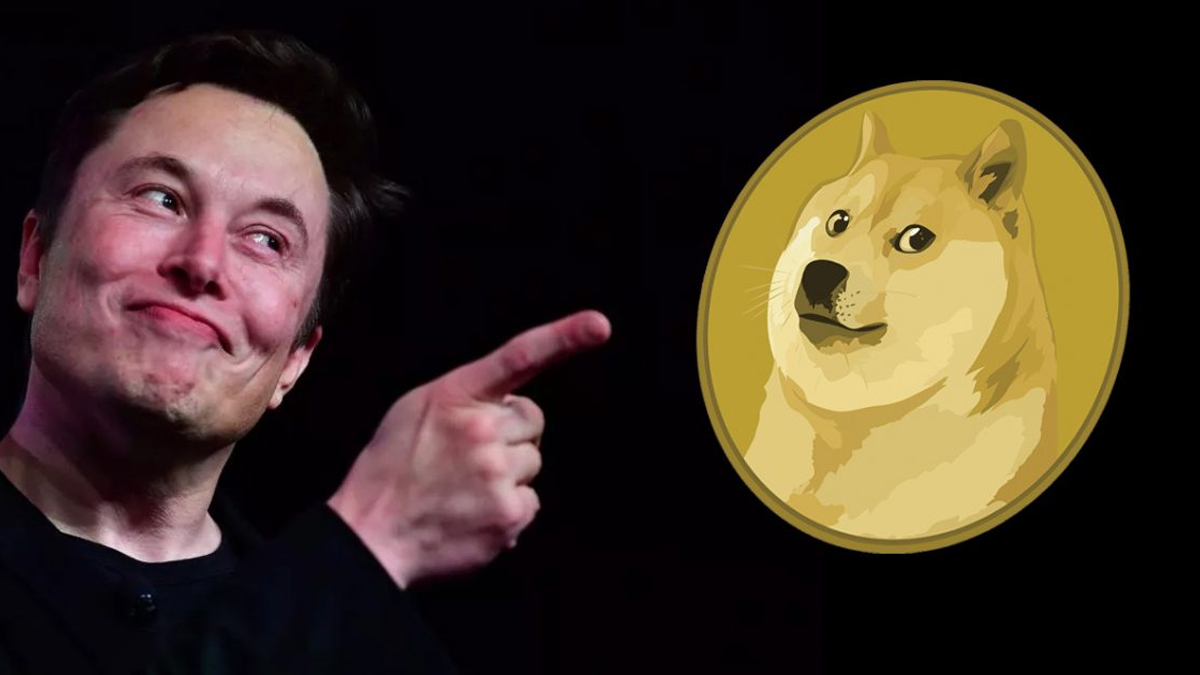 Dogecoin'e Musk müdahalesi: Alıcısını zengin etti