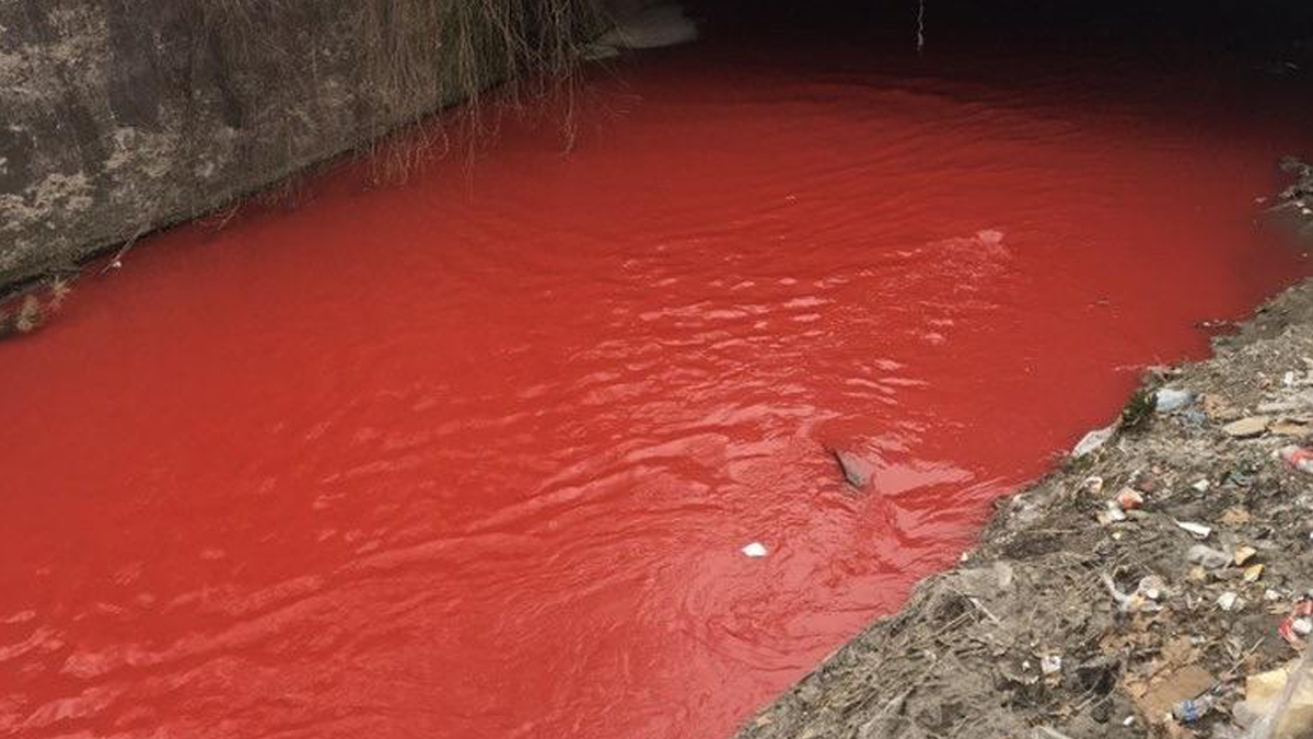 Ankara Çayı'nda korkutan görüntü: Su kırmızıya boyandı