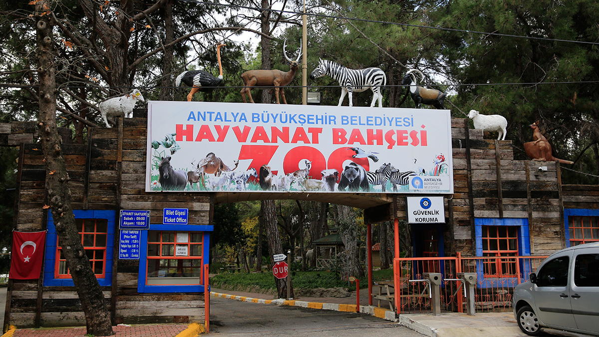 Antalya Hayvanat Bahçesi 15 Şubat'ta kapılarını ziyarete açıyor