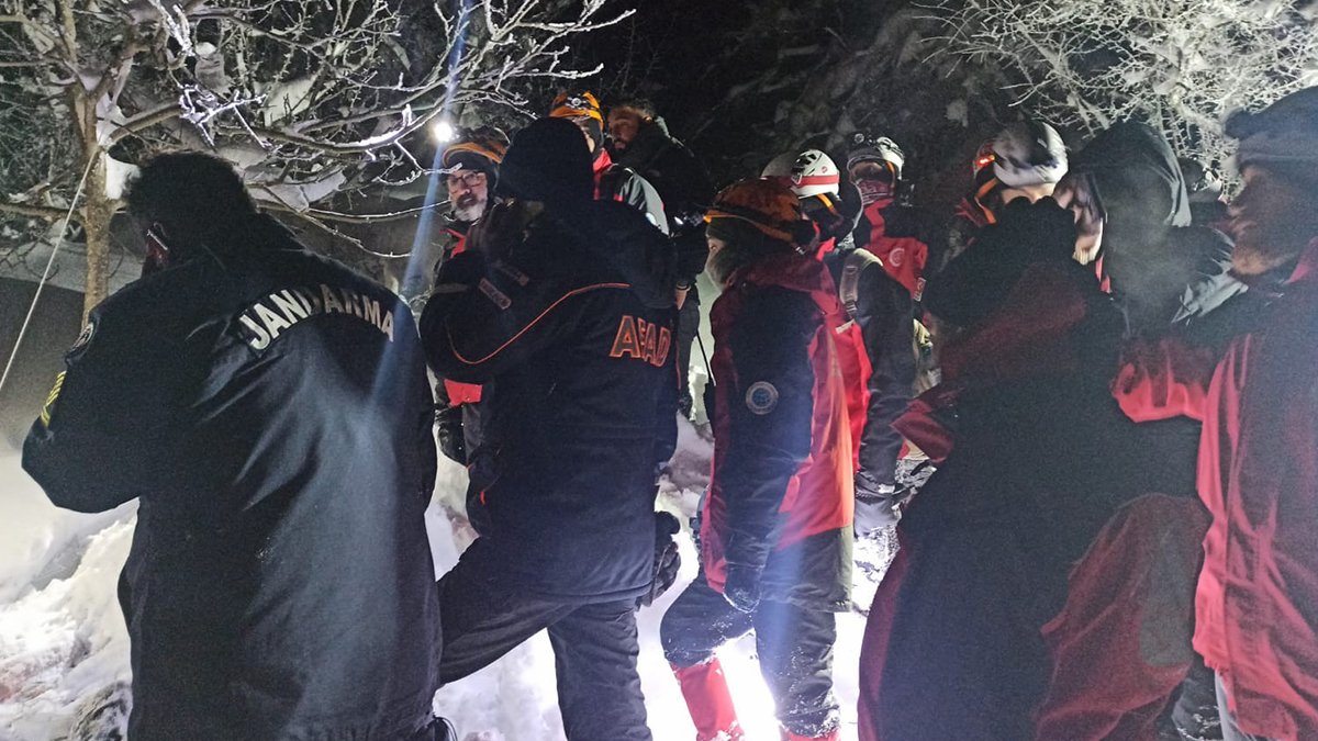 Kayıp doktordan acı haber!  Ağaca bağladığı serumla intihar etmiş