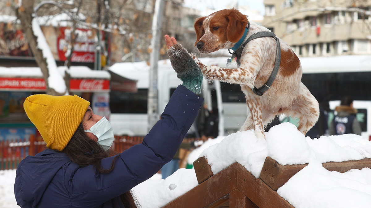 TÜİK açıkladı: Türkiye mutsuz ama umutsuz değil