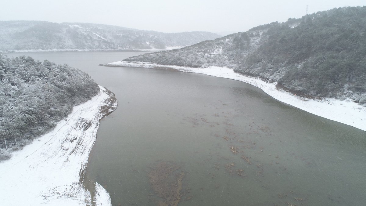 6 ay sonra bir ilk... Yüzde 50'yi geçti