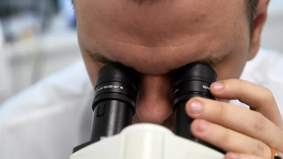 Rusya'da kuş gribi paniği... İnsana geçtiği doğrulandı