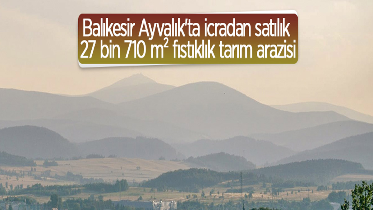 Balıkesir Ayvalık'ta icradan satılık 27 bin 710 m² fıstıklık tarım arazisi
