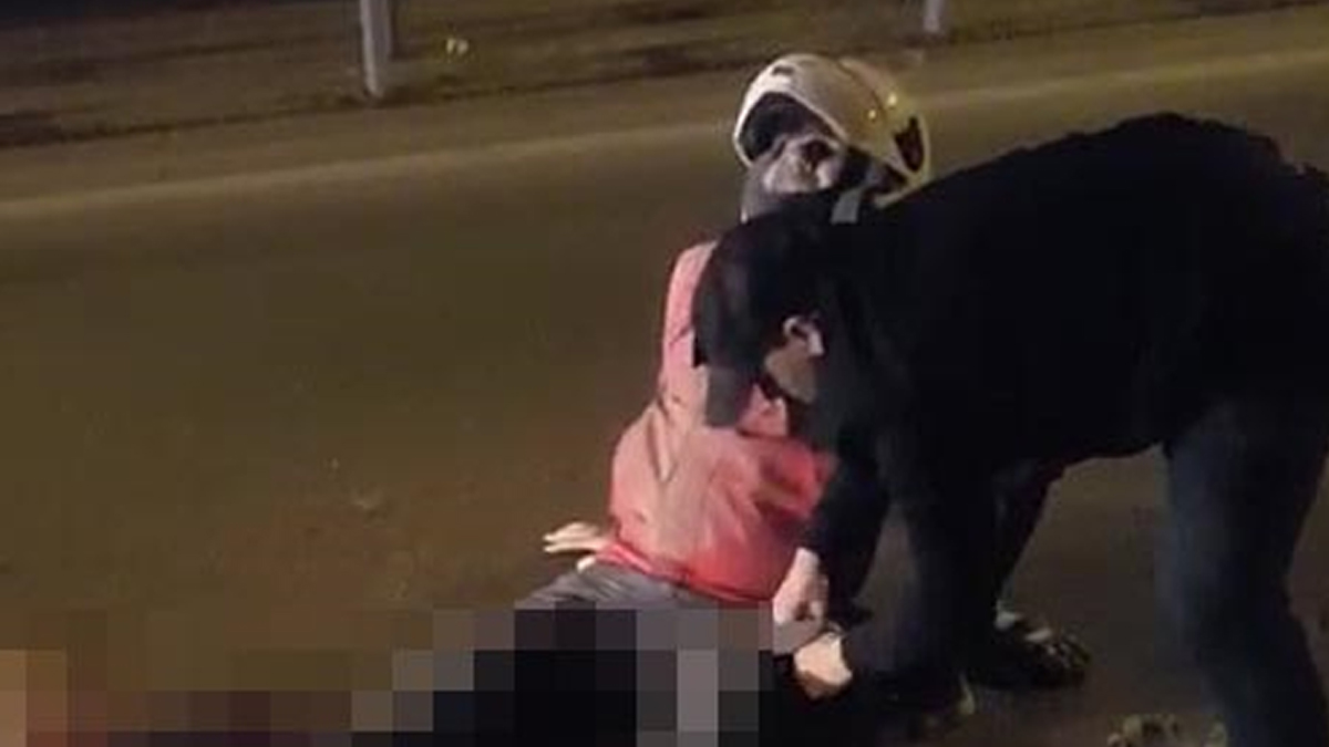 Gebze'de feci kaza: Çarpmanın etkisiyle bacağı koptu