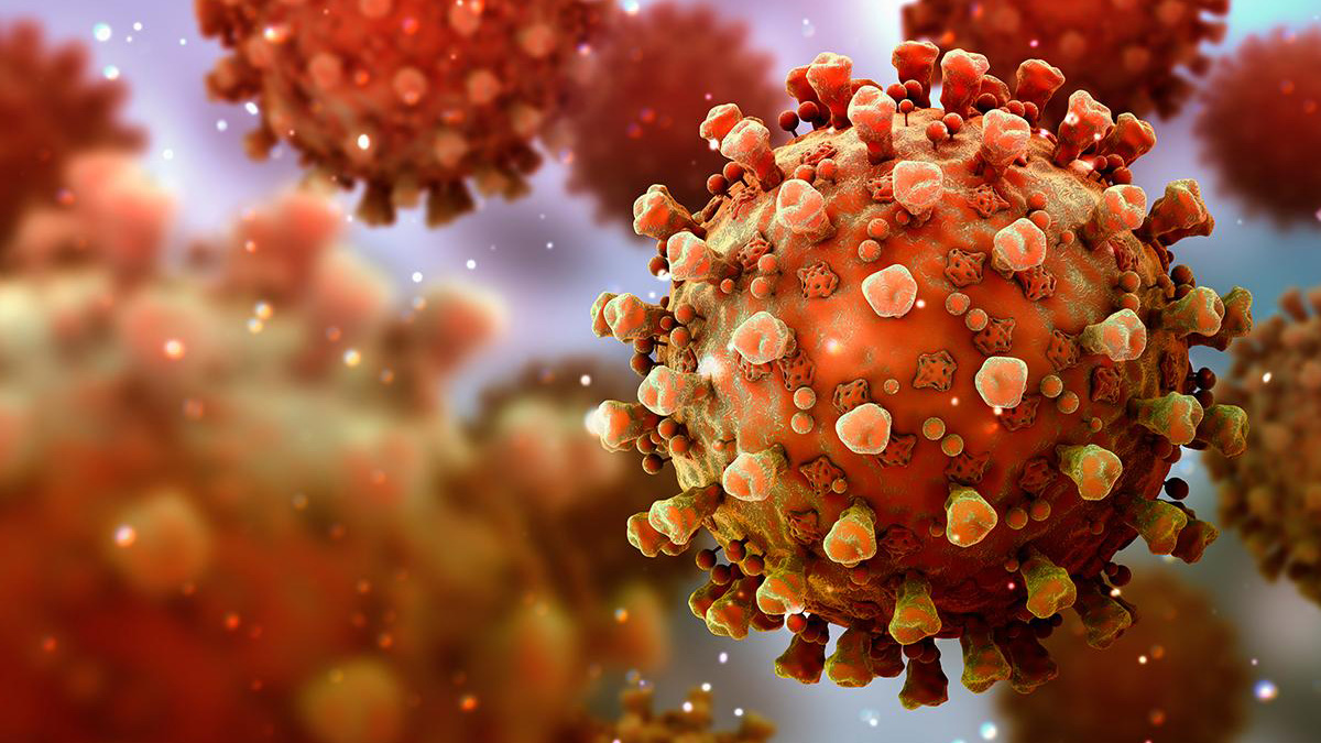 DSÖ temsilcisi korkutan sayıları açıkladı! Yayıldıkça yayılıyor