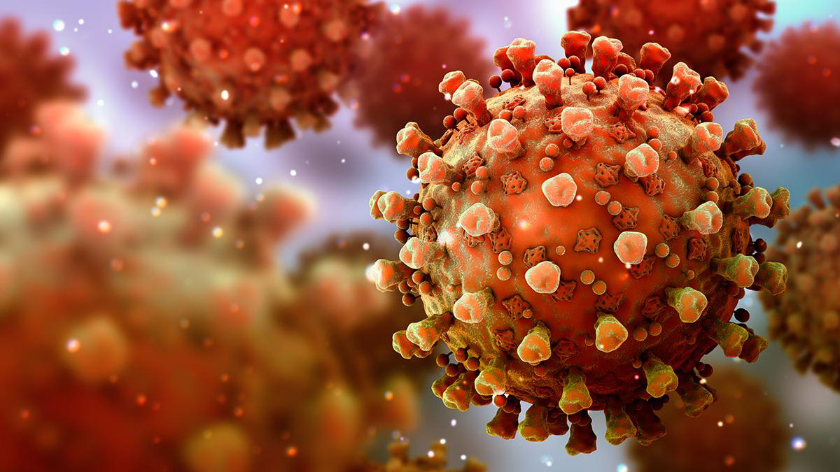 Baba, oğul ve gelin... 15 gün içinde koronavirüse yenildiler