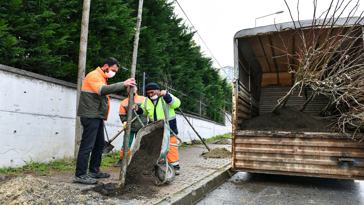 Esenyurt Belediyesi, sokakları ağaçlandırmaya devam ediyor