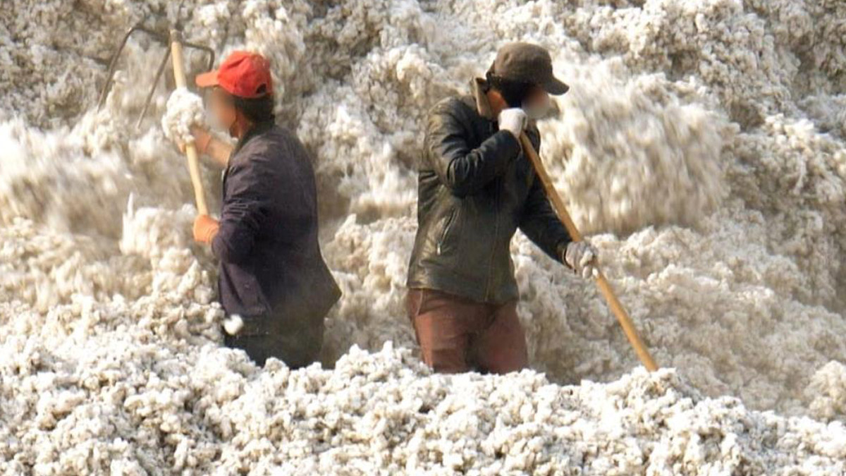 Çin’den ‘soykırım’ı kanıtlayan rapor: İşçi transferlerinin amacı Uygurları asimile etmek