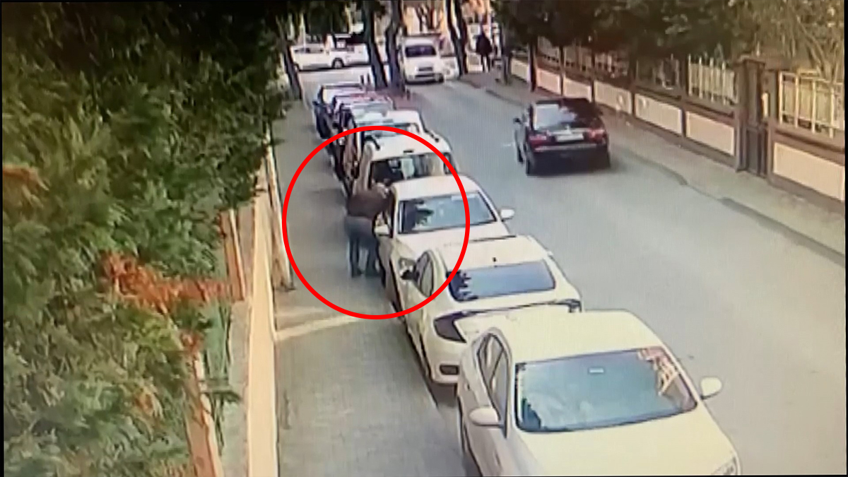 Kadıköy'de gündüz vakti hırsızlık anı kamerada