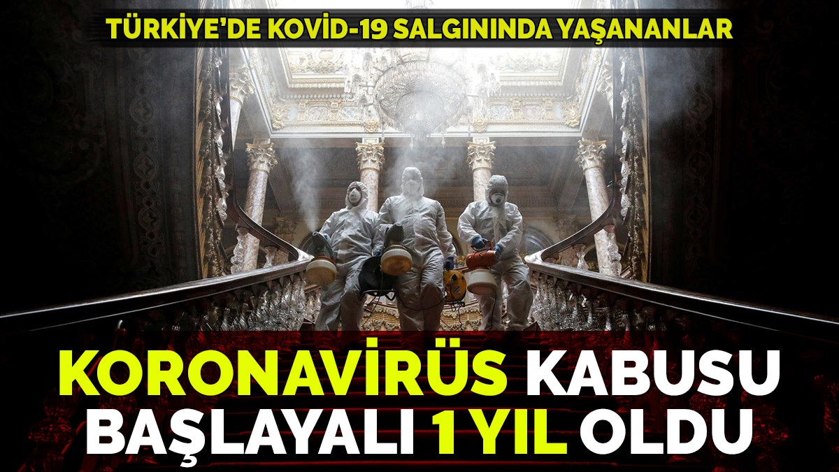 Koronavirüs Türkiye'de ne zaman başladı? İşte kovid-19 salgınında yaşananlar