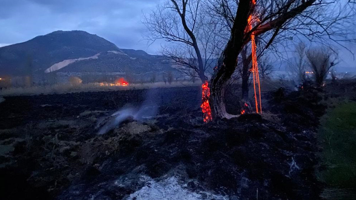 Burdur’da sazlık alanda yangın