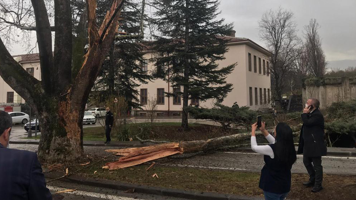 Son dakika! Meclis bahçesine yıldırım düştü