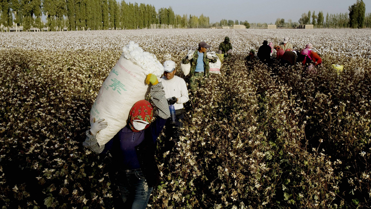 Çin zulmünü gizleyemiyor! Ses çıkarana ambargo