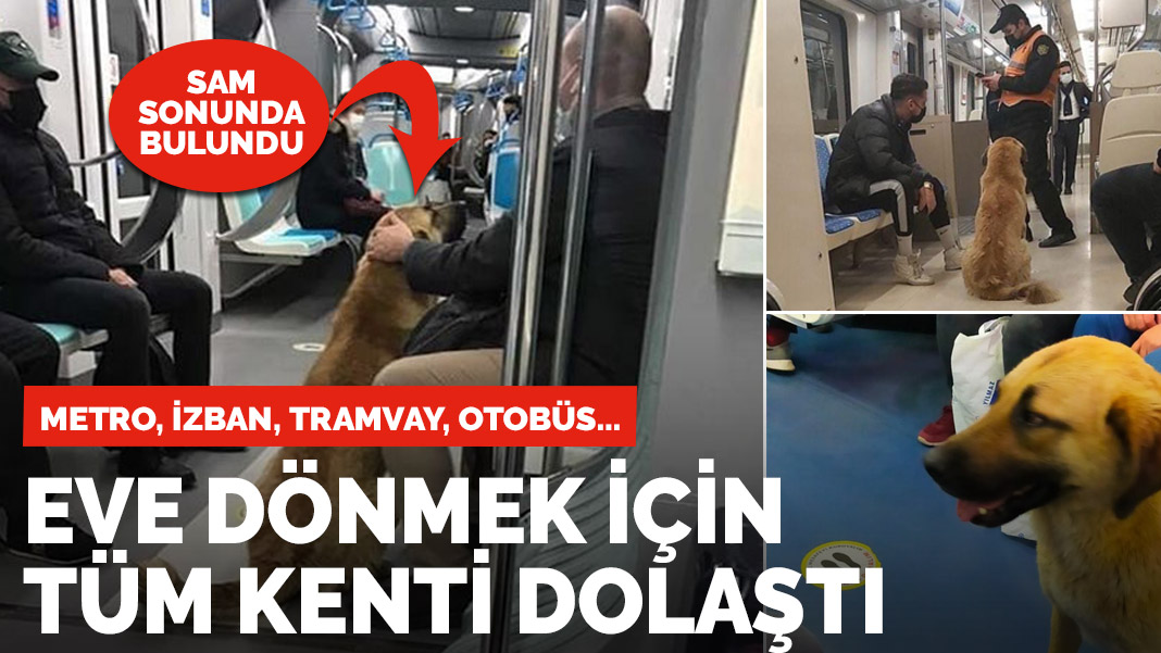 Evine dönmek için İzmir'i toplu ulaşımla dolaştı! Sam ...