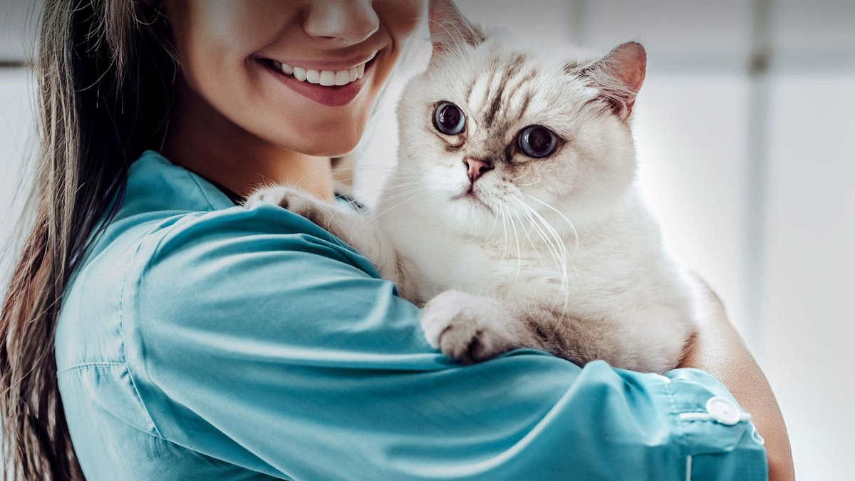 Veteriner hekimlerden 'aşıda öncelik' talebi