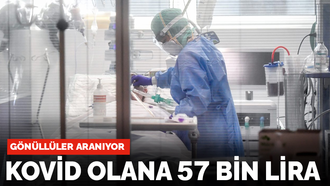 Gönüllüler aranıyor! Kovid olana 57 bin lira
