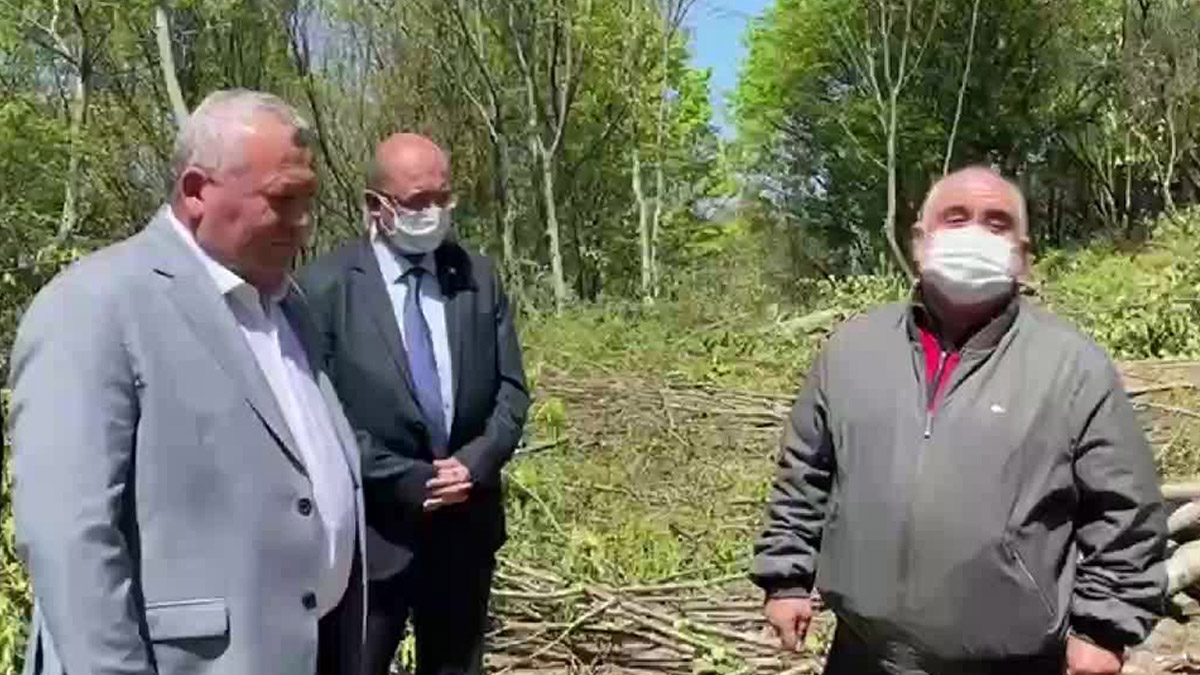 Fatsa'daki ağaç katliamına Enginyurt'tan tepki: Bu yeşili katledenlere yuh olsun!