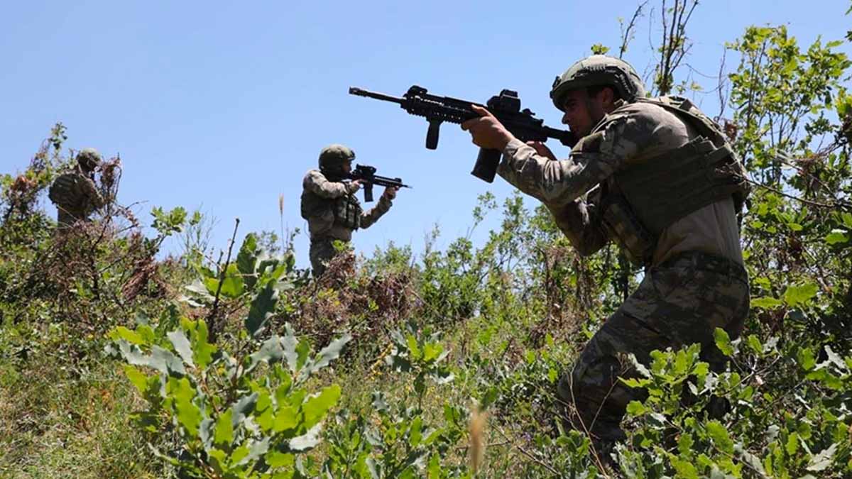 Pençe-Yıldırım operasyonunda 2 terörist etkisiz