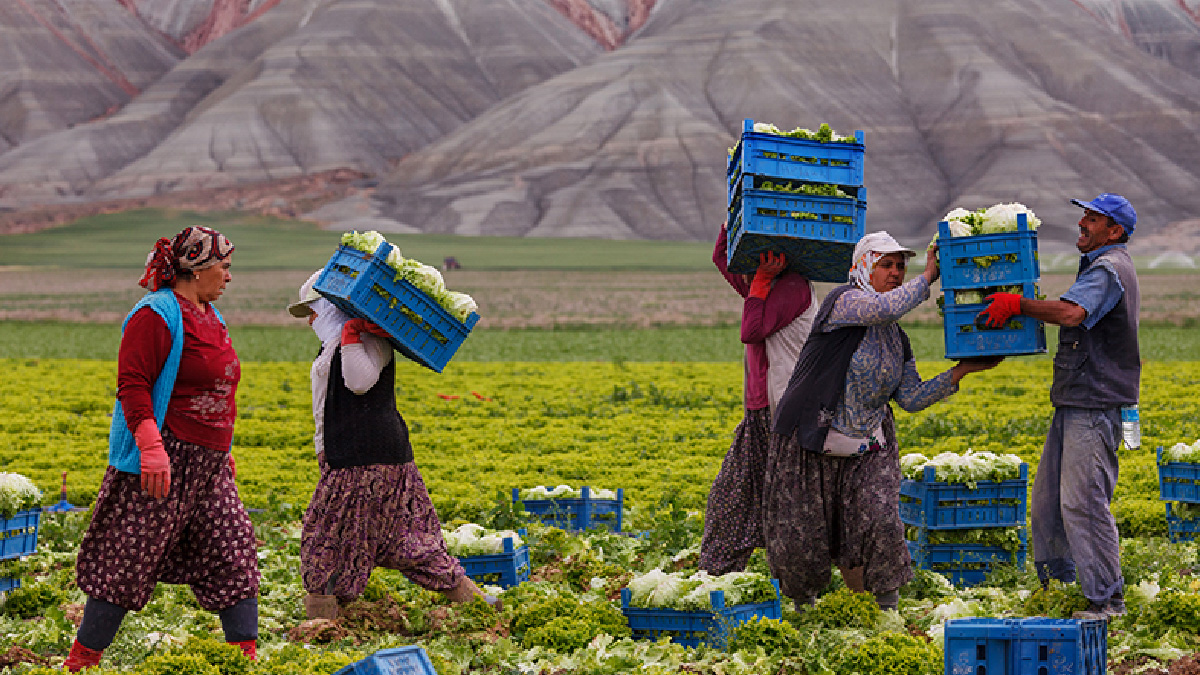 Kayıt dışı çalışanların sayısı 7,5 milyona ulaştı