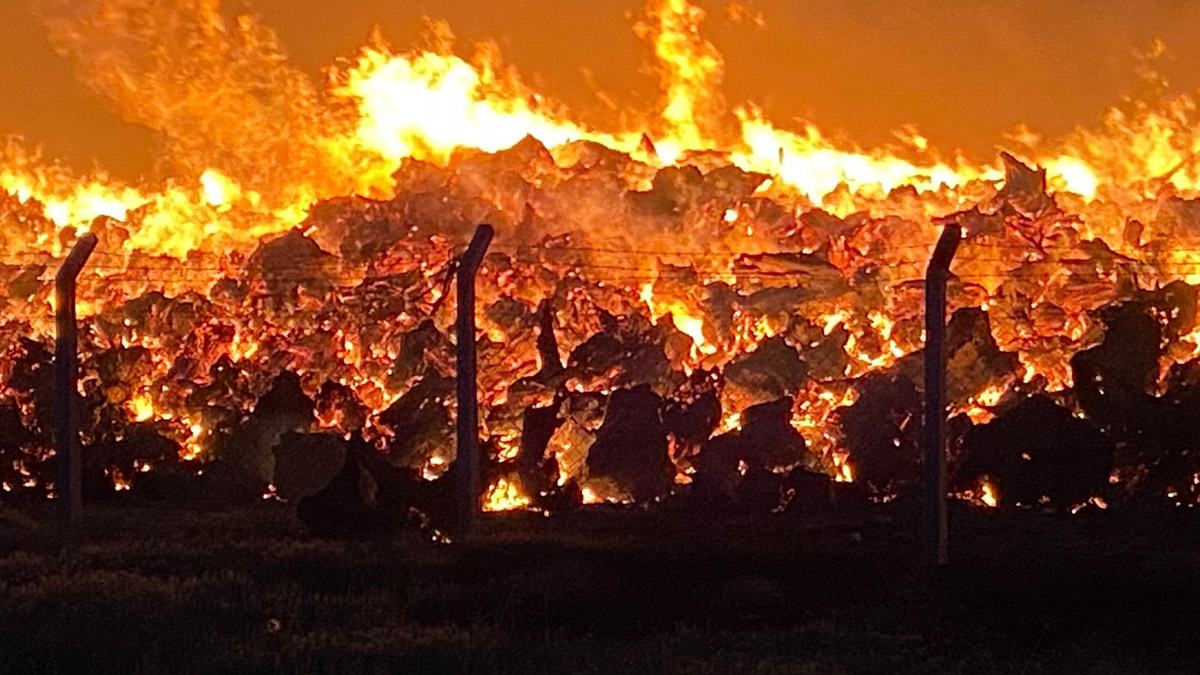 Biyoenerji elektrik santralinde korkutan yangın