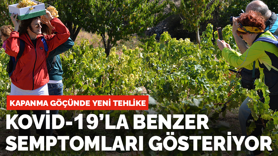 Kapanma göçünde yeni hastalık tehlikesi