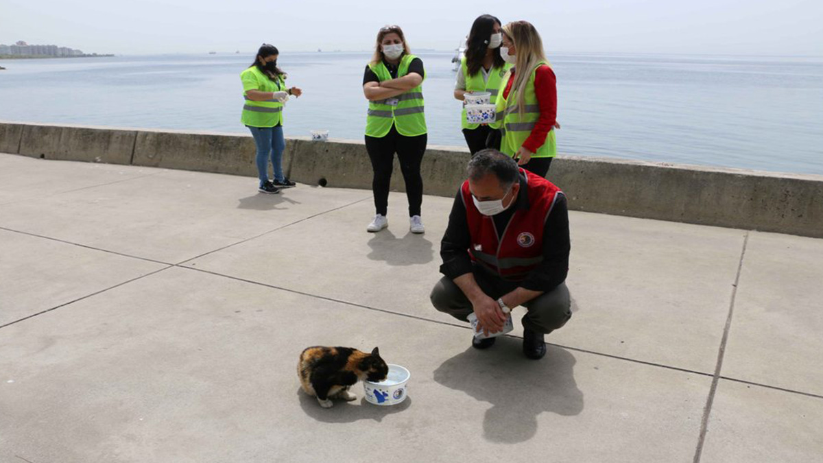Kartal Belediyesi tam kapanma sürecinde de sokak hayvanlarının yanında
