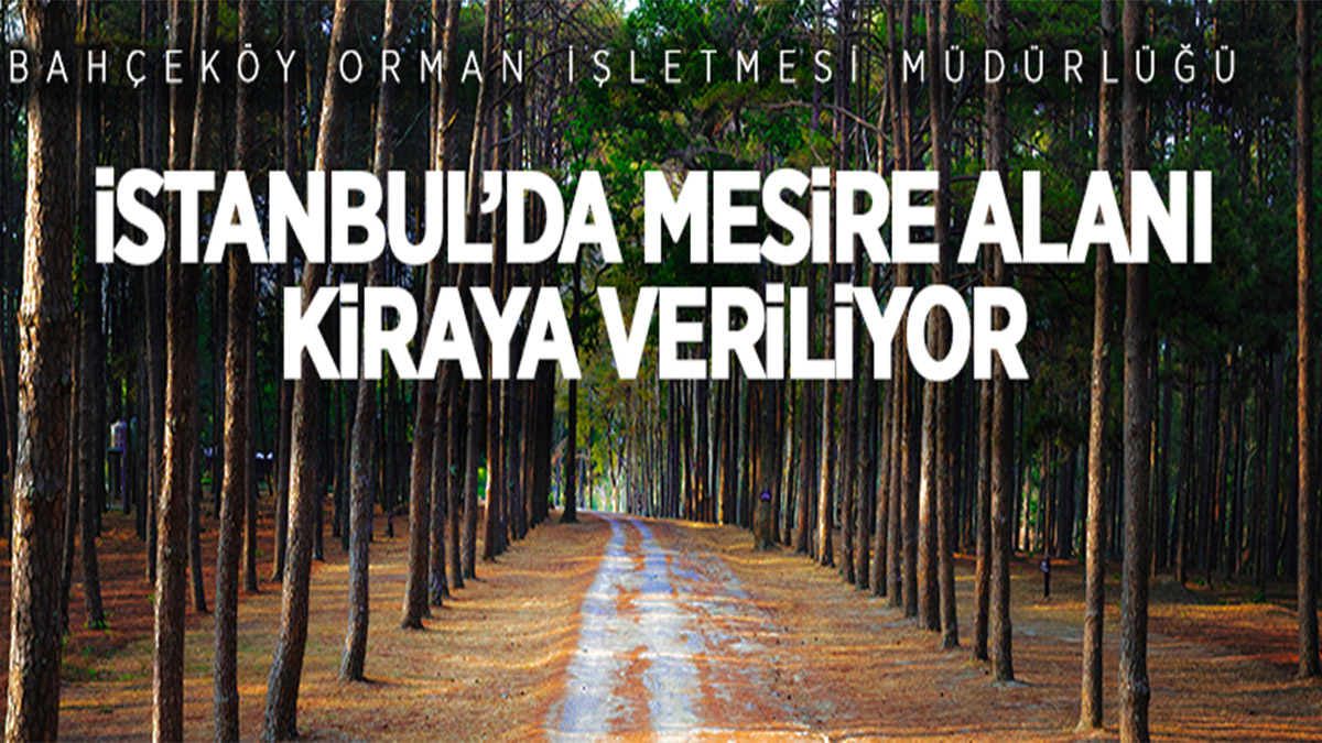 İstanbul'da C tipi mesire yeri işletme hakkı kiraya verilecek