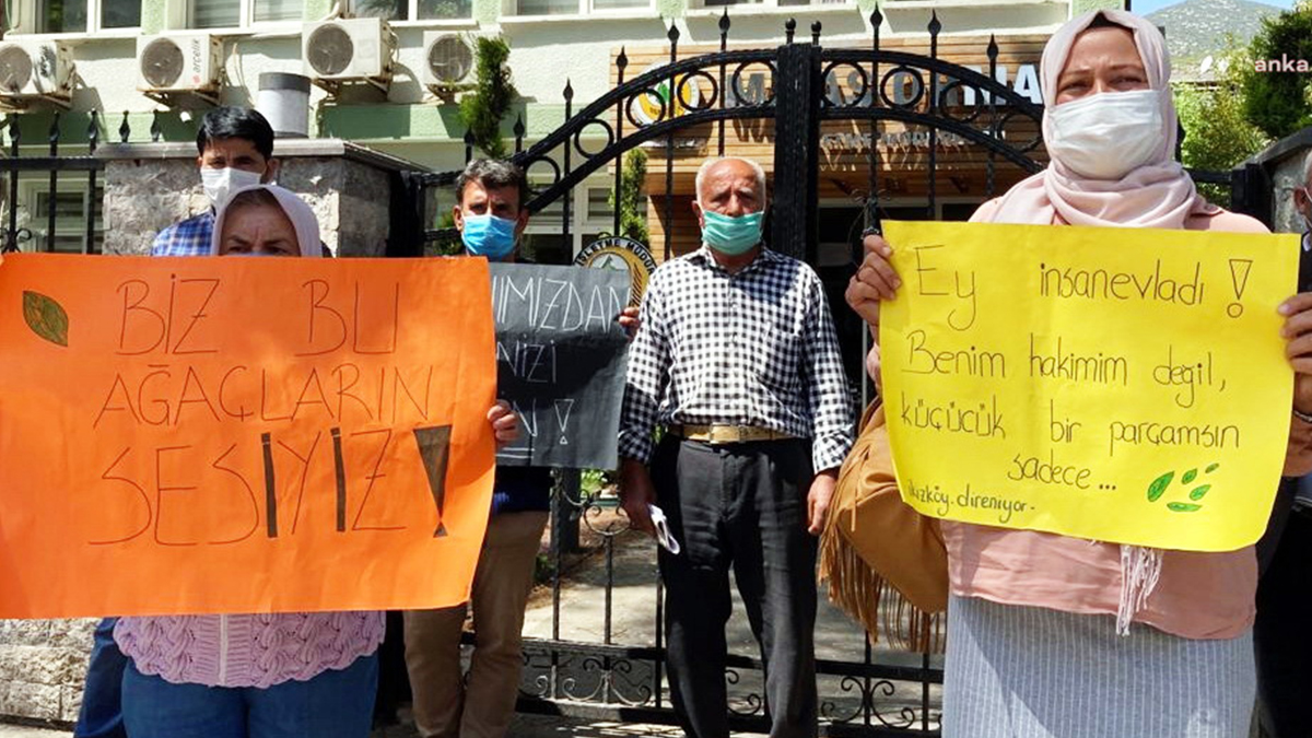 Milas halkı ormanını korumak için mücadele ediyor