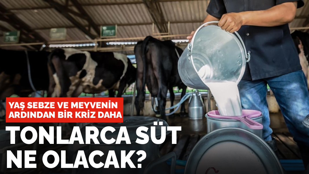 Yaş meyve ve sebzenin ardından bir kriz daha: Tonlarca süt ne olacak?