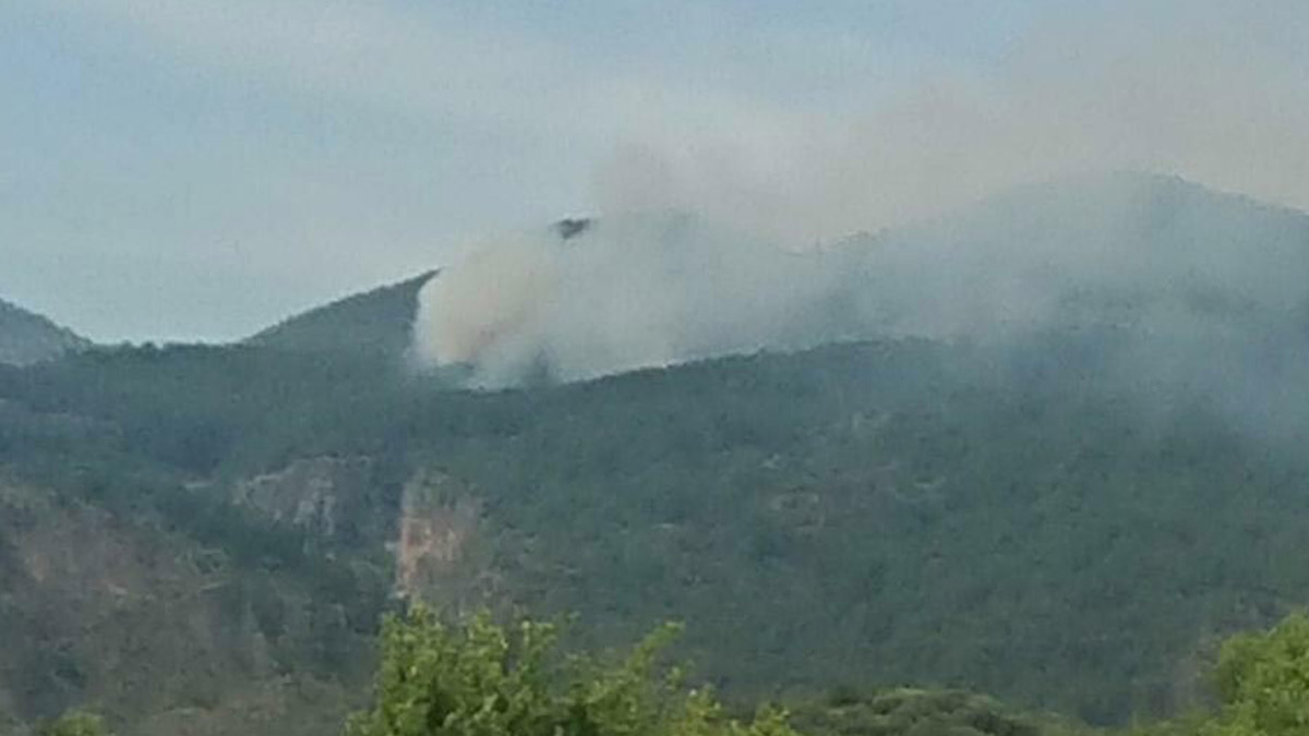 Muğla'da orman yangını: 2 hektar kızılçam küle döndü