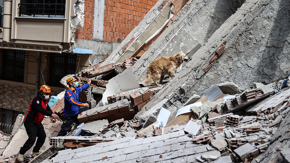 Zeytinburnu'ndaki boş bina çöktü